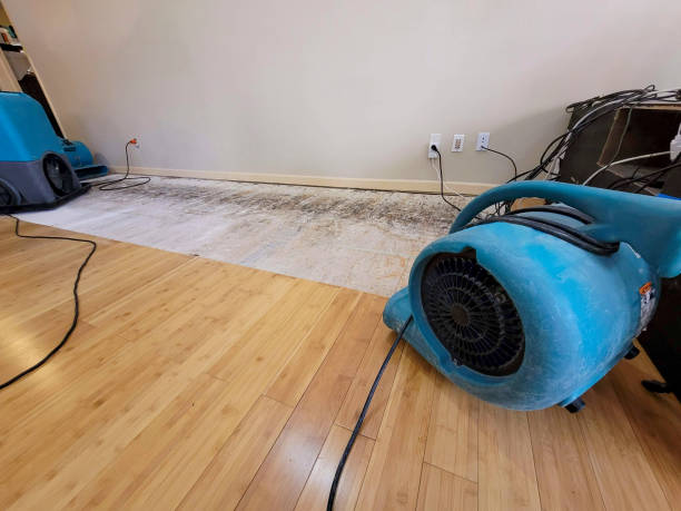 Professional Structural Drying technician working in Kinards, SC
